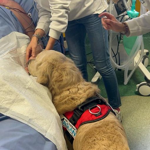 Come la pet therapy può aiutare i pazienti dell'ospedale di Rivoli
