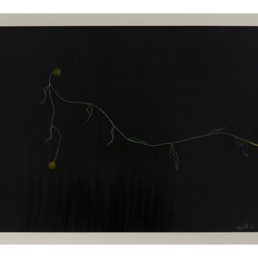 Vincenzo Agnetti, Photo-graffia, 1980
