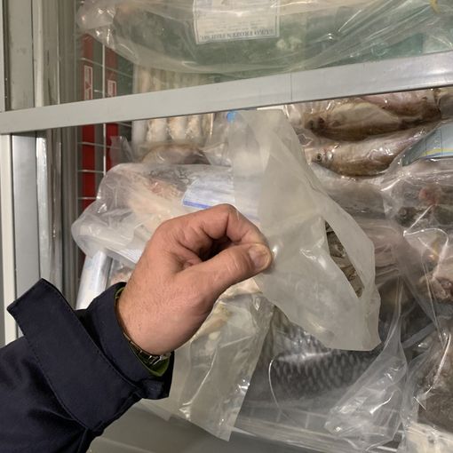 Pesce mal conservato: multa da 3 mila euro ad un minimarket di Torino