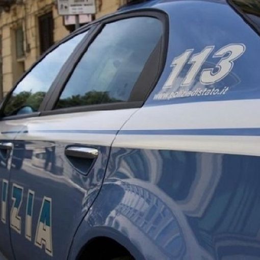 Torino: maltratta un cucciolo di cane in pubblico, denunciato dalla Polizia