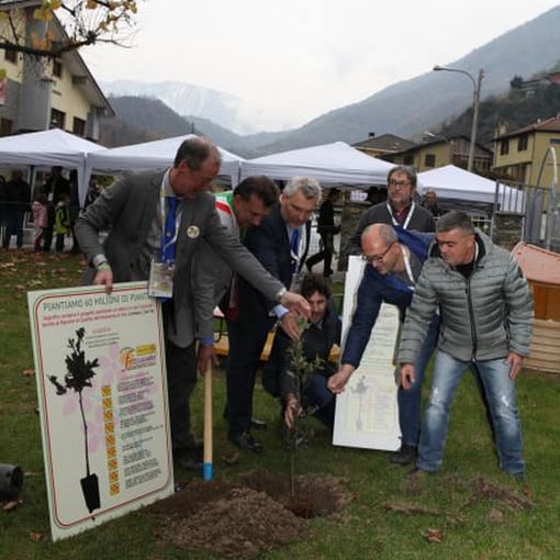 Uno dei momenti di &quot;Vivi Pomaretto a Novembre&quot;: la piantumazione della prima pianta del progetto Asprolfor “Pian...Ti...Amo”
