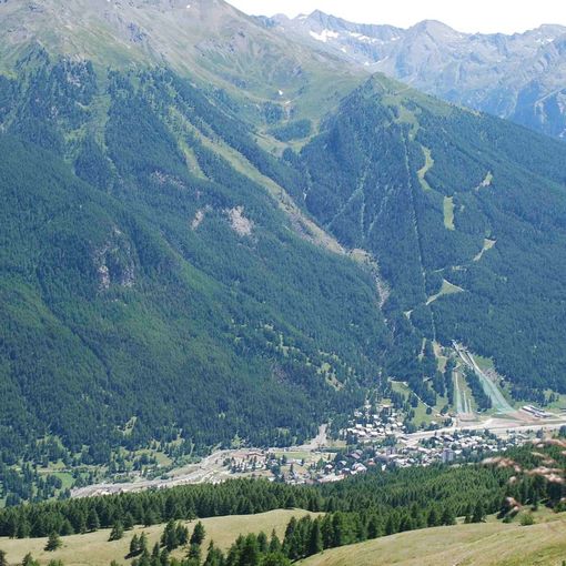 Un contributo di 300 mila euro per l'estensione della fibra ottica nelle Valli Olimpiche