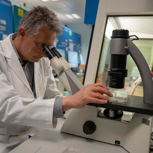 Il tumore resiste alle terapie come i batteri agli antibiotici: la scoperta all’Istituto di Candiolo