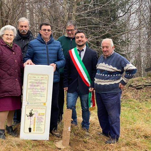 I Saggi di Ingria e il rito della quercia