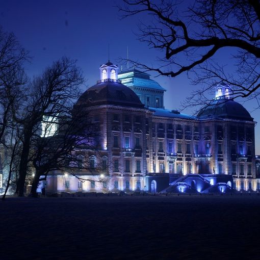 Racconigi, da venerdì l'esposizione dei presepi nel parco del Castello