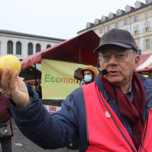 repopp - foto d'archivio