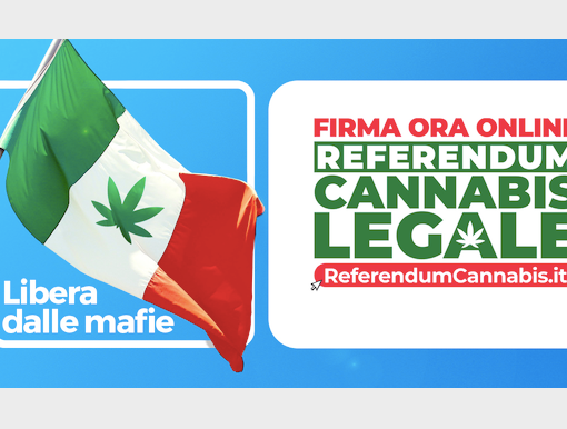 Referendum Cannabis: Justmary è partner di Megliolegale nella raccolta firme