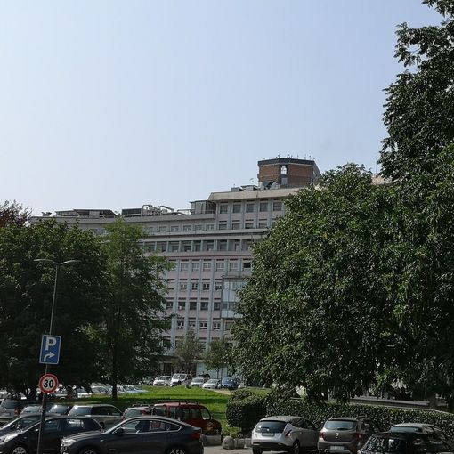 Cellule staminali del fegato per curare i neonati: Città della Salute prima al mondo