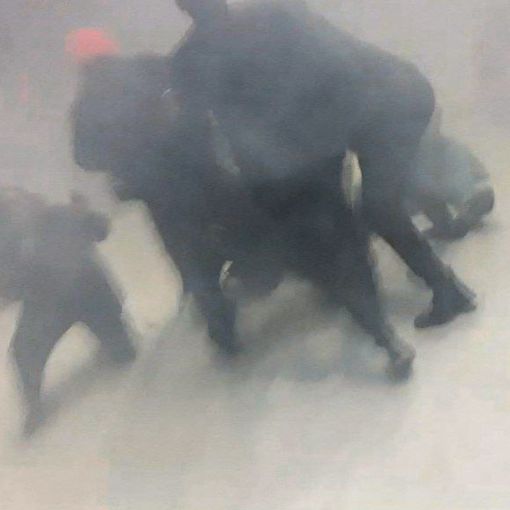 Attiviste nonviolente denunciano: &quot;Prese a calci e pugni da personale del circo &quot;Royal&quot; Orfei&quot;