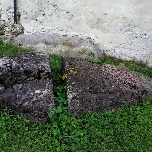 Alla ricerca del senno di Orlando