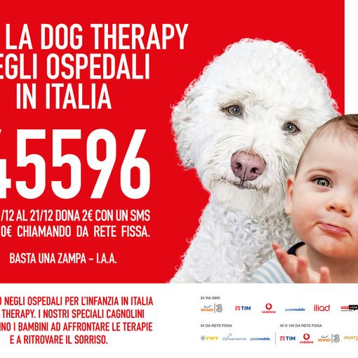 La pet therapy per aiutare i piccoli alle prese con un percorso di cure: festeggia due anni &quot;Basta una Zampa&quot;