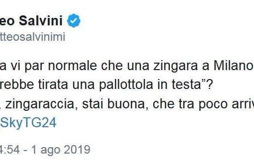 Il tweet di Salvini