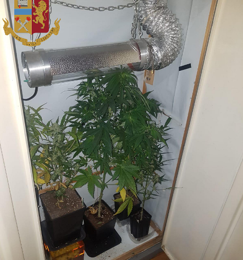 Nascondono nell'armadio una serra per la coltivazione di marijuana: arrestati due fratelli