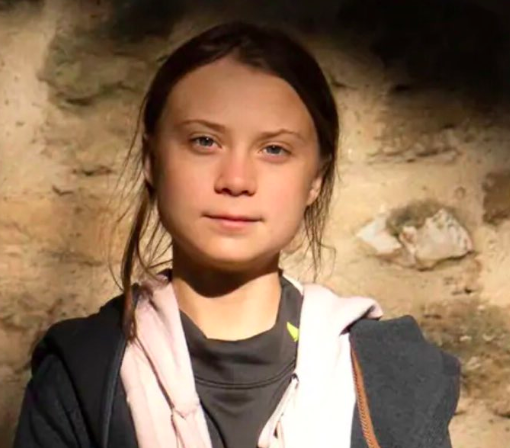Greta Thunberg arriva a Torino: l'ambientalista svedese venerdì in piazza Castello