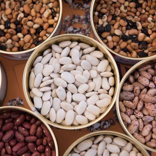 Il &quot;Barachìn&quot; di Terra Madre: 4000 pasti distribuiti a chi non può partecipare