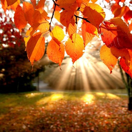 Sole e caldo anche domani, giorno di Ognissanti, poi mercoledì...