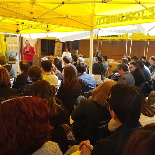 Coldiretti, rinnovato Diego Scaramuzza alla guida degli agriturismi di campagna Amica