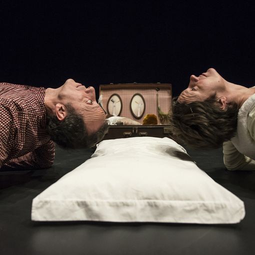 Sette volte Earthink, a Torino torna il festival dedicato al nostro pianeta