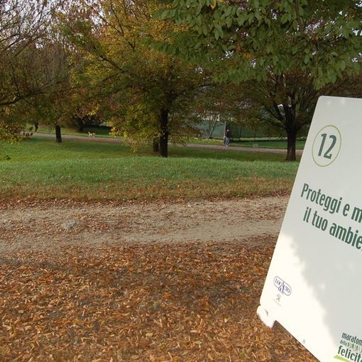 L'associazione Pro.Civi.Co.s. dona due tigli alla Pellerina
