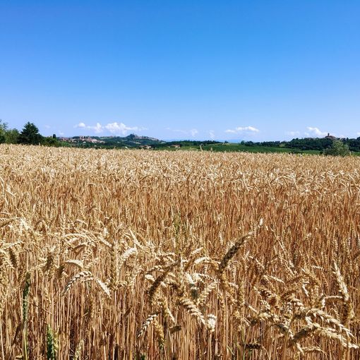 Obiettivo valorizzare le eccellenze del territorio e creare opportunità di lavoro