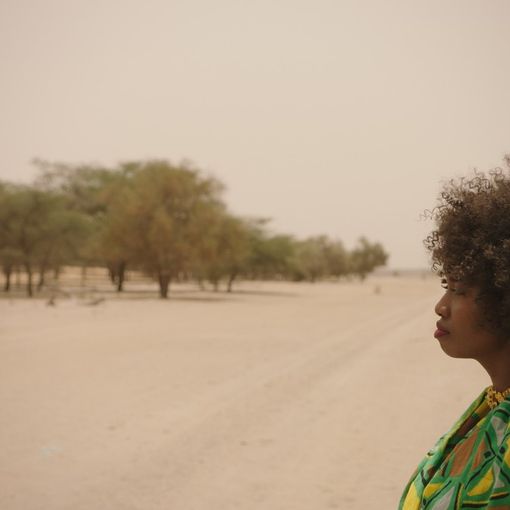 &quot;The Great Green Wall&quot;