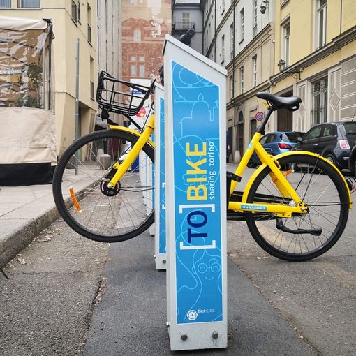 Domani Greenpeace Torino 'celebrerà il funerale' di Tobike