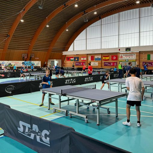 partita di ping pong