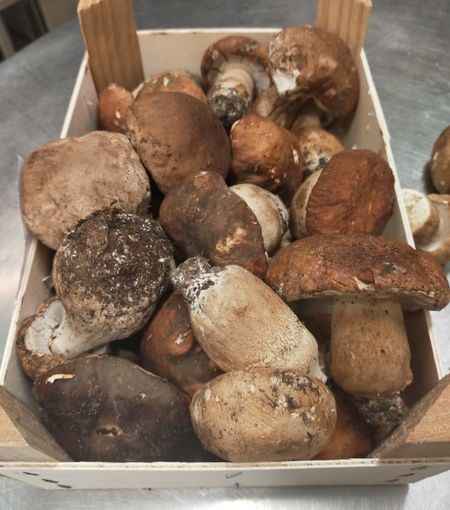 Il menù della Trattoria del Ponte di Verezzo si arricchisce di tre nuovi primi gourmet: Ravioli con ripieno di Funghi Porcini, Tagliolini di Lumaca e Risotto mantecato con le Lumache