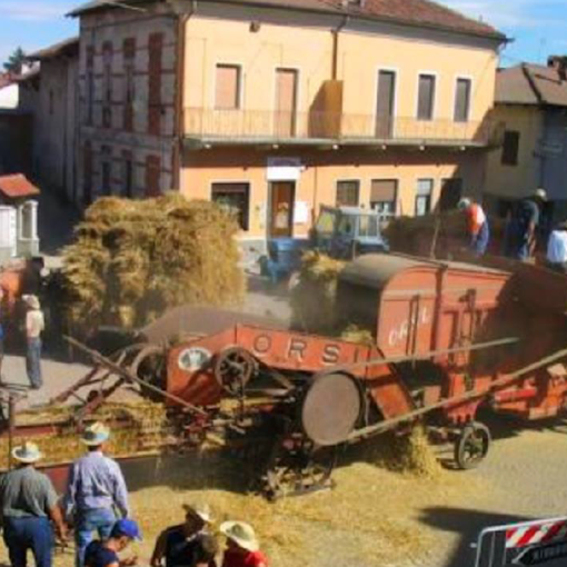 fiera agricola Bosconero