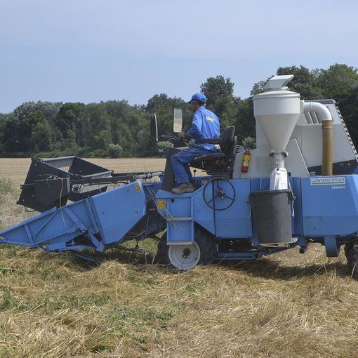 Coldiretti Piemonte: &quot;Sul prezzo del grano evitare rincari e speculazioni&quot;