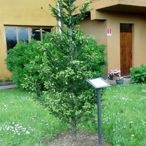 Centrale del Latte, &quot;Un dono per tutti&quot; ha raccolto ben 6000 regali per i bimbi meno fortunati