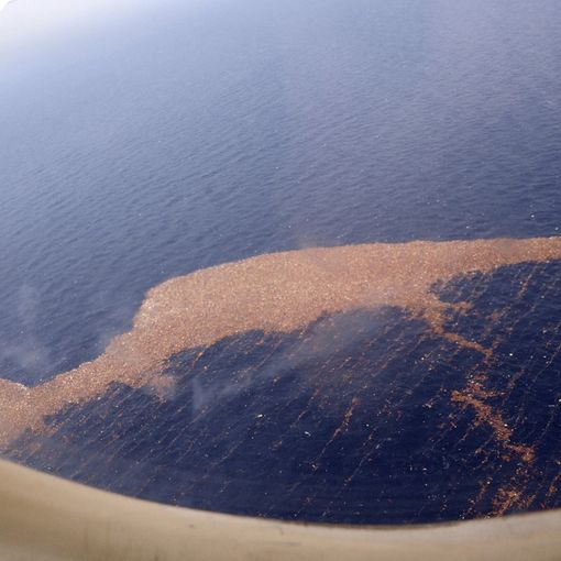 Photo by US Navy of the Great Pacific Garbage Patch