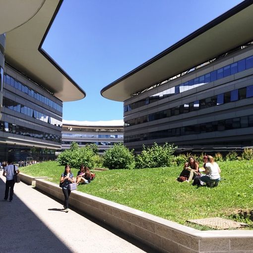 Unito vince il premio Compraverde Buygreen 2019