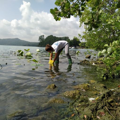 Inquinati 16 dei 24 punti monitorati da Goletta verde nei laghi del Piemonte
