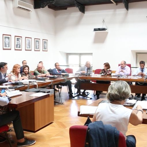 Si riapre la discussione sullo zoo a Torino
