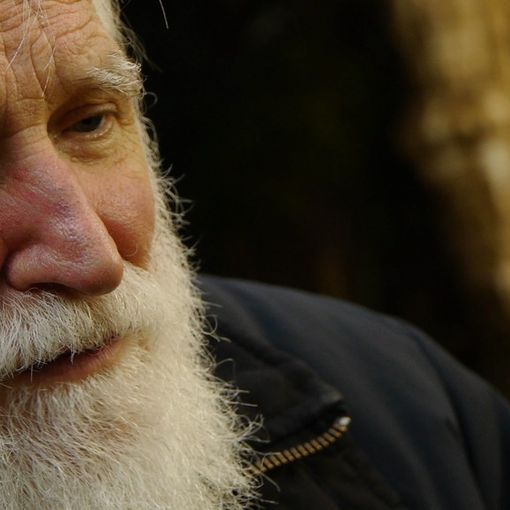 Viaggio tra gli eremiti d'Italia, nel documentario &quot;Voci dal Silenzio&quot;
