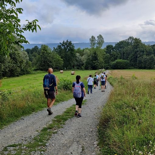 Dal 27 luglio passeggiate gratuite per tutti lungo la via Francigena