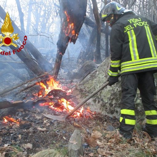 Vigili del Fuoco in azione per spegnere incendi boschivi in Val di Susa