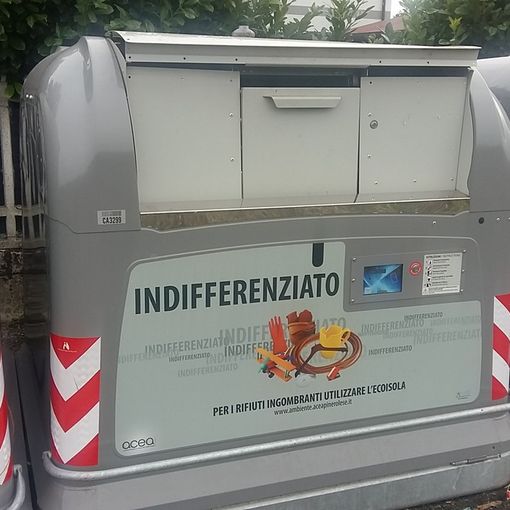 Vigone: abbandona dei gattini nel cassonetto dell’indifferenziato