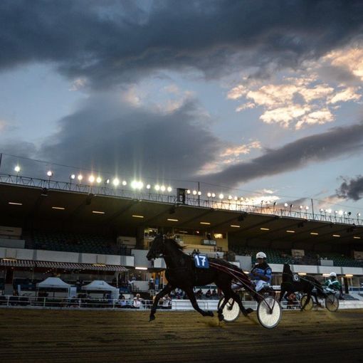 ippodromo di vinovo