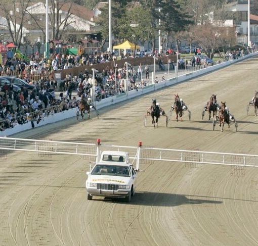 A Vinovo l'ottobre del trotto inizia con il Criterium Torinese