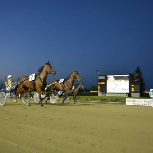 Doppio spettacolo all'Ippodromo di Vinovo: il 1° settembre, Gran Premio Marangoni open e Filly in notturna