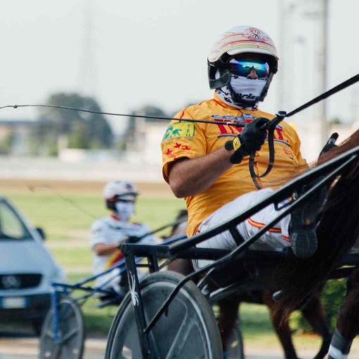 All'Ippodromo di Vinovo, la finale del Campionato Gentleman Piemonte e Liguria