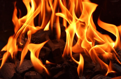 WSM Casino arriva a 10 milioni di dollari di depositi: rialzi in vista per $WSM con l’imminente burning del 5% dei token?