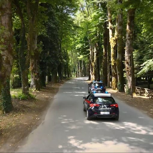 Omicidi, estorsione e droga: blitz dei carabinieri, 14 gli arresti