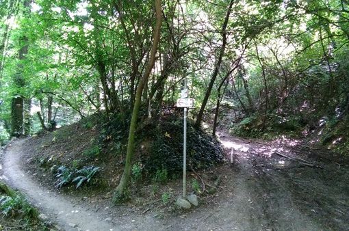 Torino avvia una collaborazione con l’Ordine dei Geologi per migliorare la protezione civile