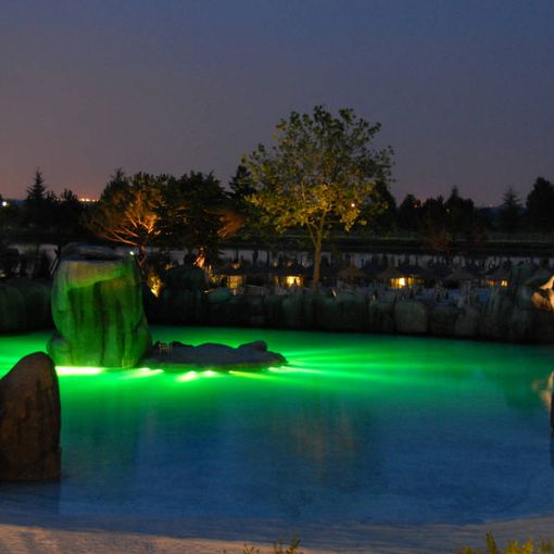 Night Safari al bioparco Zoom Torino