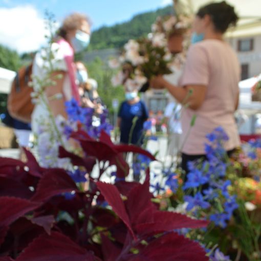 AgriFlor dà il benvenuto all'autunno con il suo quarto appuntamento domenica 27 settembre