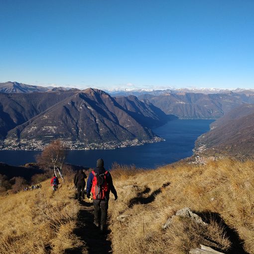 &quot;La legge non è cambiata, chiarimenti sulla sentenza del Tar di Torino&quot;