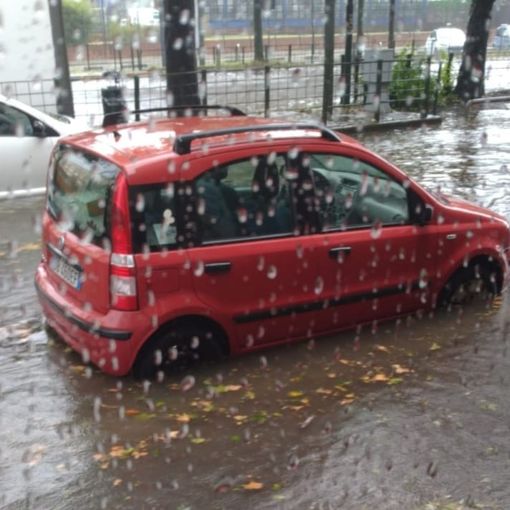 Foto e video a cura di: Daniele Angi, Gianluca Dimonte, Carlo Granisso